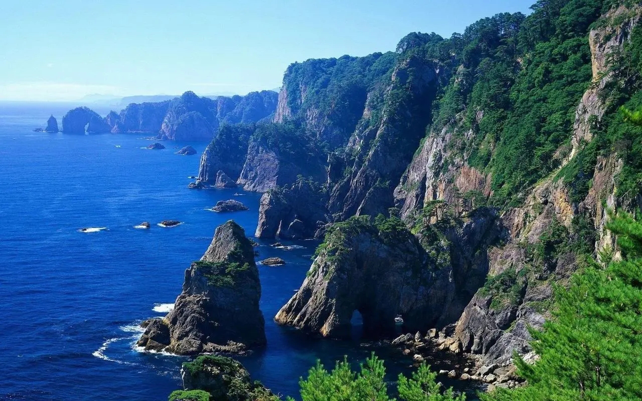 科技全自动高端